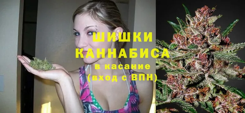 OMG ССЫЛКА  Александров  Марихуана OG Kush 